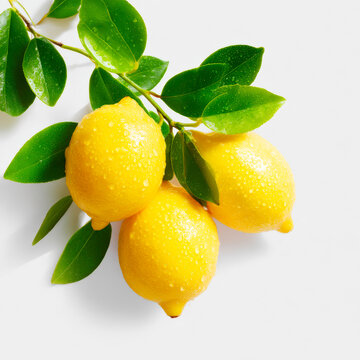 Macro Photography of Fresh Yellow Lemons with Green Leaves Isolated on White Background for Citrus Concept