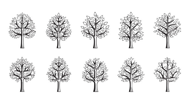 Collection of ten hand-drawn outline illustrations of deciduous trees with design element line art black and white graphic resources plants