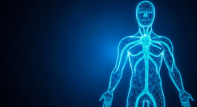 High-detail 3D illustration of the human circulatory system, showcasing arteries and veins with a luminous blue glow effect.