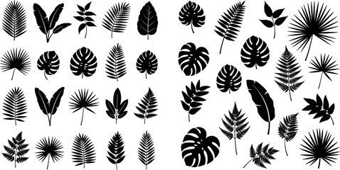 Leaf and Foliage Illustration Collection Featuring Various Tropical and Palm Leaves for Nature, Botanical, and Floral Design © MdShakib