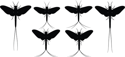 Mayfly silhouette set collection. Black winged insects with long tails in different poses. Isolated vector shapes for wildlife design, nature themes, education, and minimal illustrations. © Olivia