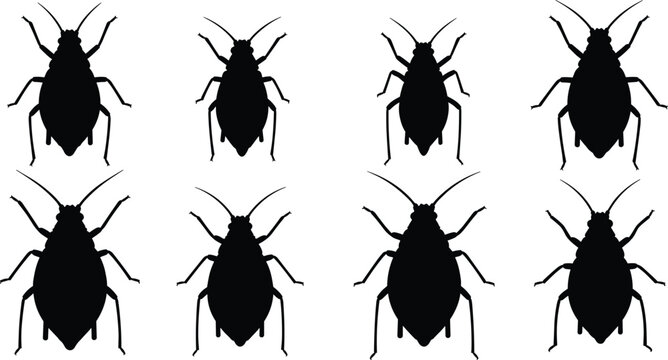 Aphid silhouette grid set. Black plant pest insects in multiple poses. Isolated vector collection for agriculture design, pest control concepts, education, and minimal illustrations.