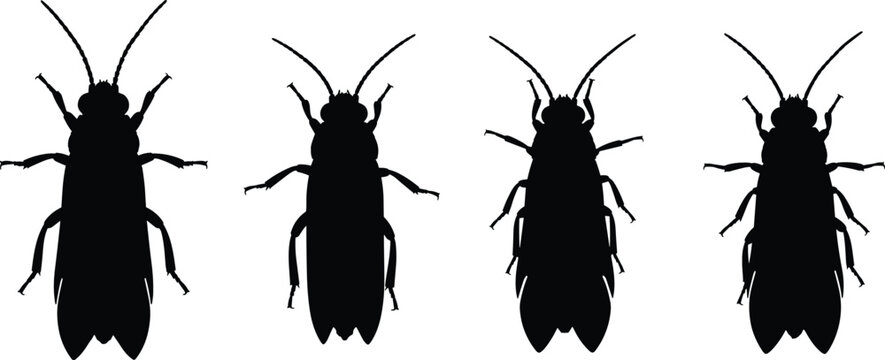 Thrips silhouette lineup set. Black tiny winged insects in simple styles. Isolated vector shapes for agriculture design, pest control concepts, education, and minimal illustrations.