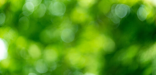 Obraz premium abstract circular green bokeh background, green nature spring and nature light in blurred style, copy space