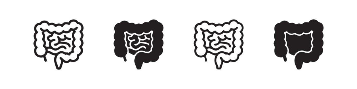 Human large and small intestine organ icon set in various styles, representing digestion and internal anatomy.
