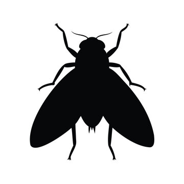 Silhouette of leafhopper insect detailed antennae and wings vector illustration design, leafhopper silhouette vector illustration