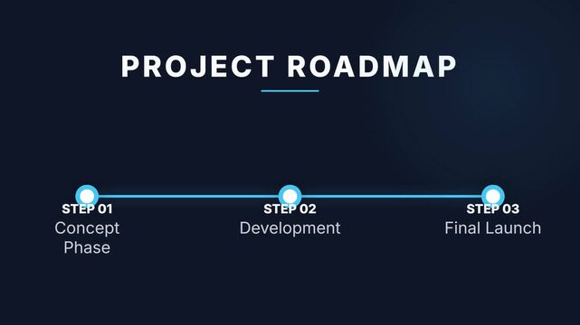 Project Roadmap Presentation: Concept Development and Launch Phases.