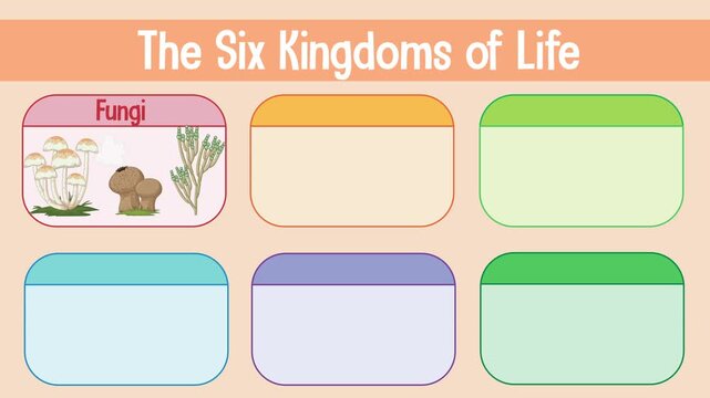 Six Kingdoms of Life Chart with Animals Fungi Plants Protists and Bacteria Visual Aid.