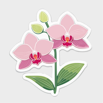 Pink Orchid Flowers with Buds and Leaves Sticker