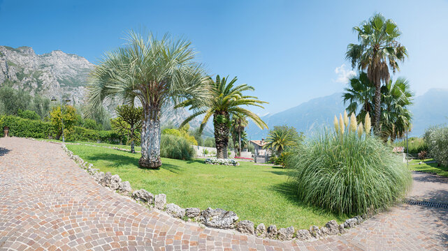 public park Limone sul Garda, with palm trees and red granite pavement. italian destination
