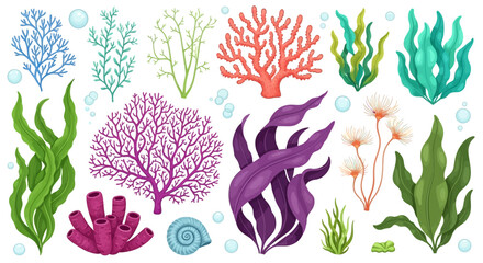 Colorful seaweed, ocean plants, underwater foliage, aquatic vegetation, vector set © Shabana