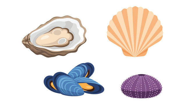 A collection of various seafood items including an open oyster, a scallop shell, a pile of blue mussels, and a purple sea urchin.