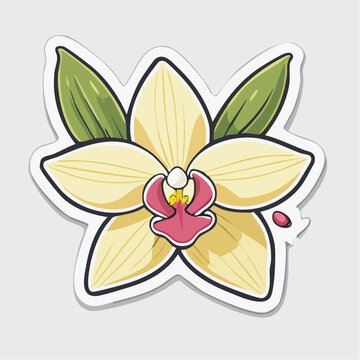 Stylized Yellow Orchid Flower Illustration