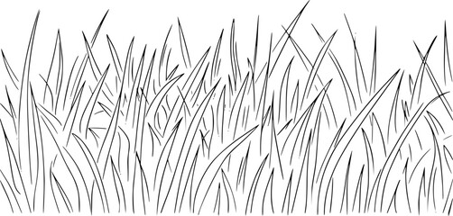 Black and white line of dense, flowing grass blades a white background, nature © HasnaHena55
