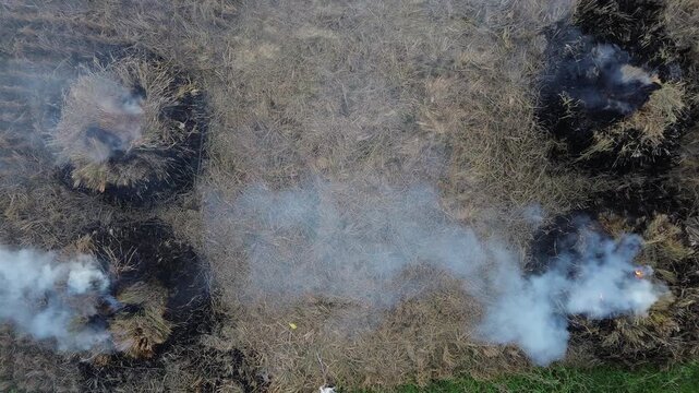 Aerial view of burning rice field stubble captured by drone. Multiple fire spots with smoke rising from dry paddy stalks after harvest season &mdash; a common but environmentally harmful land-clearing pract