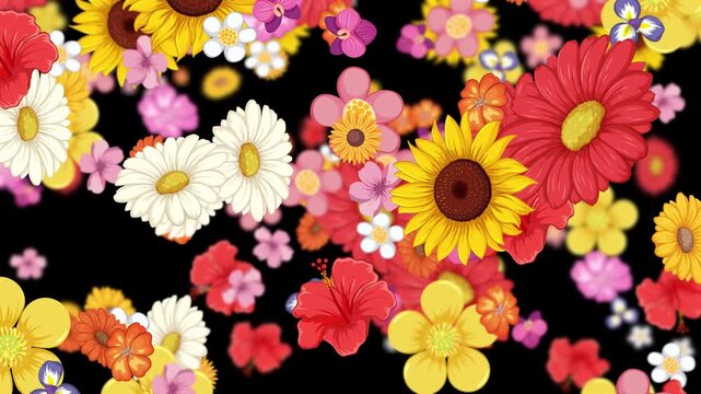 Colorful hand drawn flower animation falling on black background featuring sunflowers and daisies in dynamic motion.