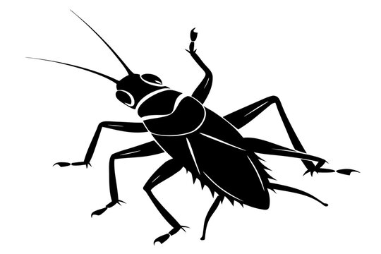 Grasshopper silhouette vector, Grasshopper icon, Grasshopper black symbol
