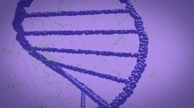 On playback starting, CGI DNA helix rotating as camera panning down right, revealing rungs