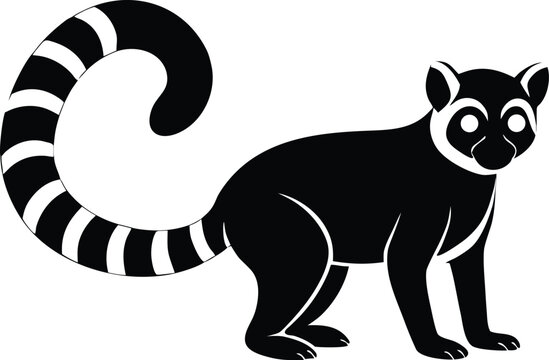 Ring tailed lemur wild animal mammal wildlife