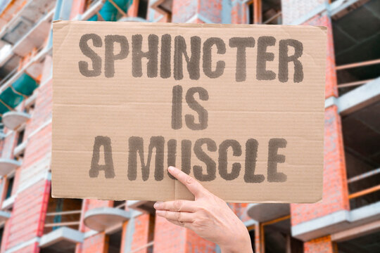 "Sphincter Is A Muscle" research confirms sphincter measurably functioning as adult modern daily vital body muscle. REAL. LIFE. MODERN. HUMAN. BODY.