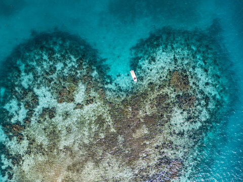 Aerial view of a heart-shaped coral reef and a small white boat in turquoise tropical waters at Guanaja, Bay Islands Department, Honduras.