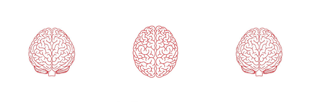 Pink Neural Network Brain Map, Human Intelligence Mind Concept, Medical Psychology Neuroscience Icon, Creative Line Art Brain PNG