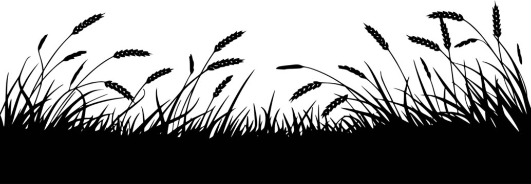 Black silhouette of wheat stalks and grass swaying a white background