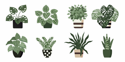 Collection of potted houseplants flat vector illustration on white background © Mithun