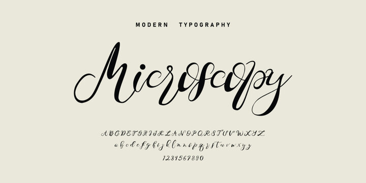 signature Font Calligraphy Logotype Script Brush Font Type Font lettering handwritten. Minimal modern urban fonts for logo, brand etc. Typography typeface uppercase lowercase and number. vector