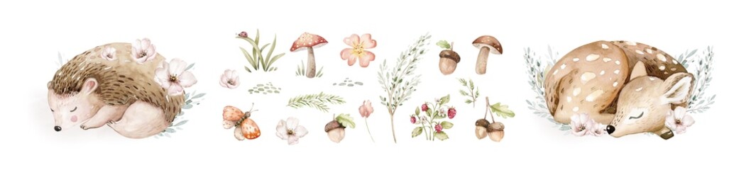 Watercolor cute sleeping baby fawn and hedgehog animal. Woodland nursery rabbit isolated illustration with floral elements for children. watercolour forest deer drawing, mushroom image.  © kris_art