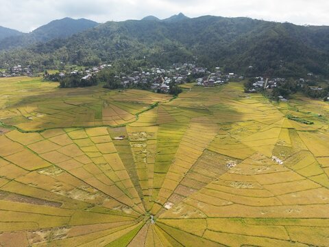Aerial view of the unique spider web rice fields and a small village nestled at the foot of lush green mountains in Labuan Bajo, East Nusa Tenggara, Indonesia.