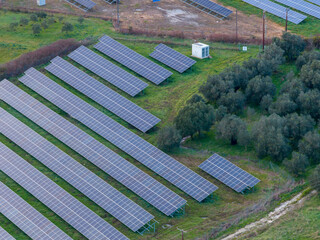 Fototapeta premium Close up aerial view of photovoltaic solar panels arranged in rows next to an olive tree grove and green grass in a sustainable energy park in Greece