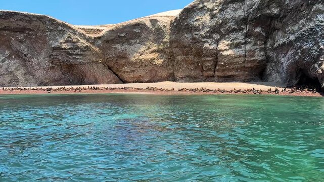 Cinematic wide shot of large colony of South American sea lions resting along rocky shoreline &ldquo;beach pocket&rdquo; between cliffs, Isla Centro Chimcha near Paracas National Reserve, Peru