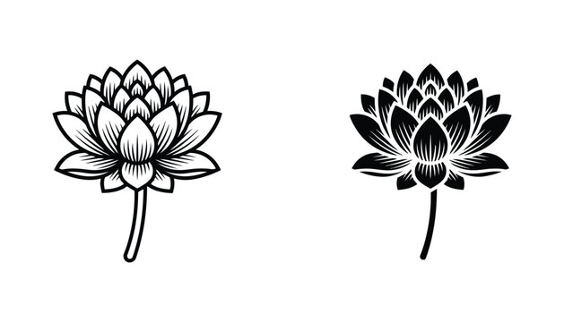 Elegant blooming lotus flower vector illustration featuring delicate petals and stem in outline and solid form