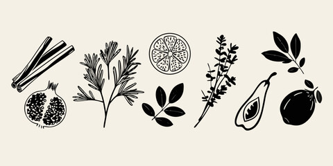 Mediterranean herbs and fruits line art illustration on beige background © Suvro