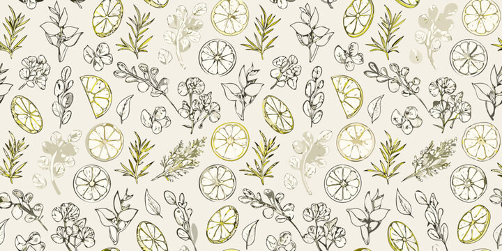 Culinary herb pattern with lemon slices botanical illustration