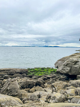 Cloudy Day on the Shore