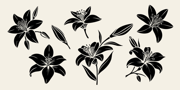 lily flower silhouettes collection black on beige background
