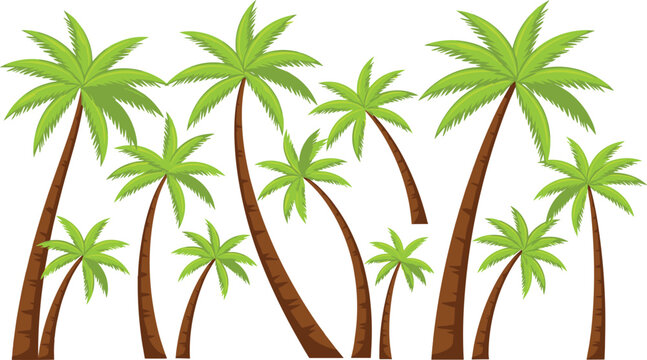 Tropical palm tree set isolated summer beach nature vector illustration collection