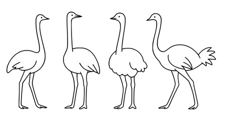 Obraz premium Ostrich icon set in outline style, for animal coloring design