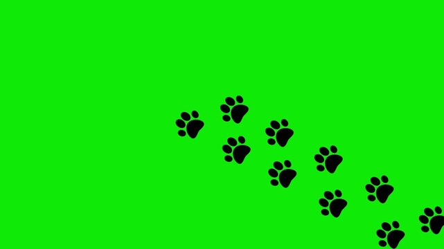 Cute paw prints walking trail animation overlay on green screen background seamless loop pet footsteps motion path tracking effect video asset