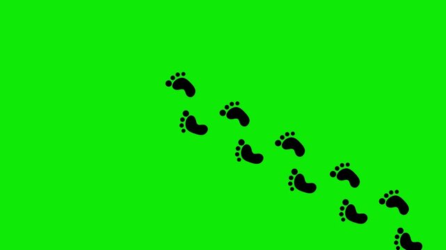 Cute paw prints walking trail animation overlay on green screen background seamless loop pet footsteps motion path tracking effect video asset