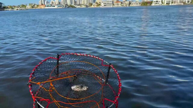 Throwing crab trap into blue water with city skyline in background on sunny day.