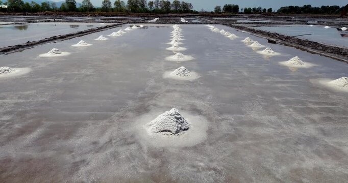 Tilt up view of traditional salt pans featuring rows of harvested white salt mounds reflecting in shallow water under a clear sky 