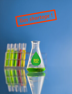 The production of plant-based biofuels is being prioritized as a strategic response to the energy shortage resulting from Middle East instability.