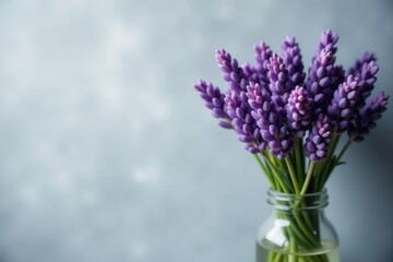 Fototapeta premium Lavender bouquet, grey backdrop, soft light, natural hues, image, blossom