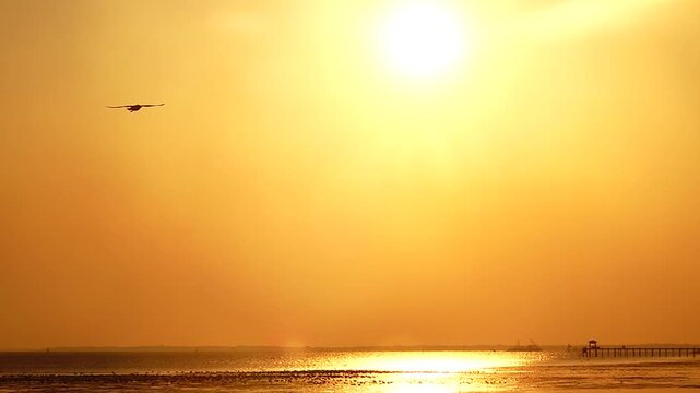 Seagulls fly and perch in ultra slow motion at 240 fps against a vivid orange sunset, with a long pier on the horizon and shimmering water, capturing calm coastal atmosphere and cinematic detail.