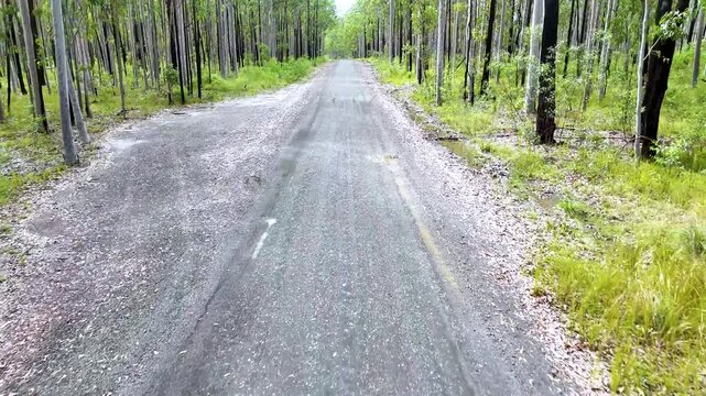 Aerial drone shot moving forward along remote gravel road through dense eucalyptus forest during day.