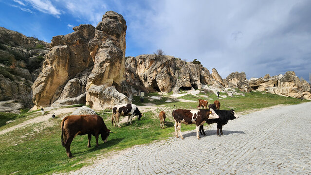 A panoramic view of the Ayazini Metropolis in Afyonkarahisar, a vast Byzantine-era rock settlement within the Phrygian Valley, known for its Cappadocia-like volcanic tuff formations