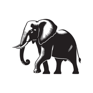 African Elephant, Wildlife, Safari, Giant, Mammal, Nature, Africa, Savanna, Tusks, Trunk, Herd, Wild Animal, Jungle, Big Five, Conservation, Endangered, Powerful, Grey, Forest, Grassland, Iconic.
